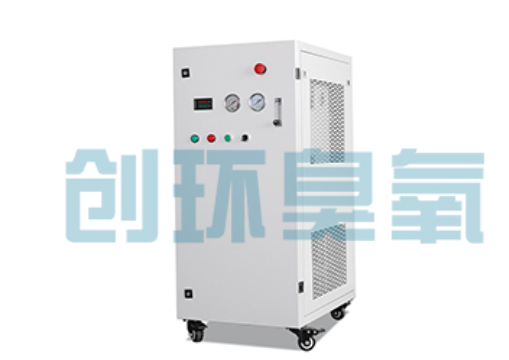 运河石斑鱼养殖水质调控完整指南:臭氧发生器配置与操作步骤