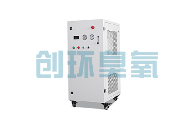 运河比传统换水更高效?臭氧发生器在石斑鱼养殖中的水质净化原理解析